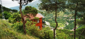 Kozalak Forest Mansion